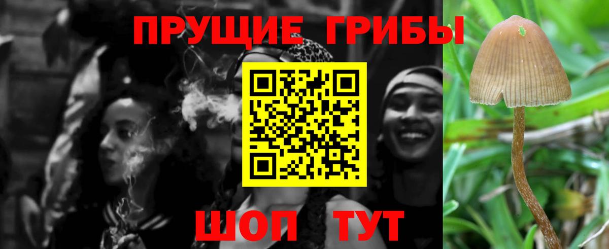 Псилоцибиновые грибы Cubensis  Вход с VPN  Грозный 